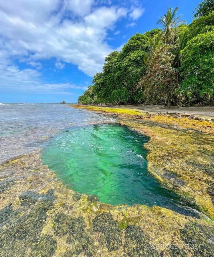 Puerto Viejo de Talamanca Casa Marヴィラ エクステリア 写真